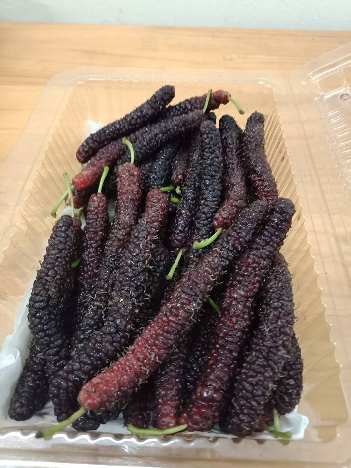 Theo người bán, giống dâu tằm Đài Loan này trồng tại Mộc Châu. Ảnh: FB Thế giới nông sản.