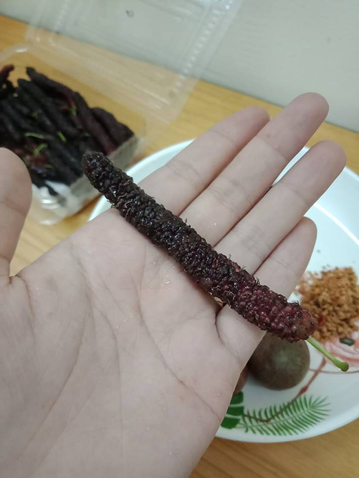 Dâu tằm Đài Loan trái dài từ 8-20cm. Ảnh: FB Thế giới nông sản.