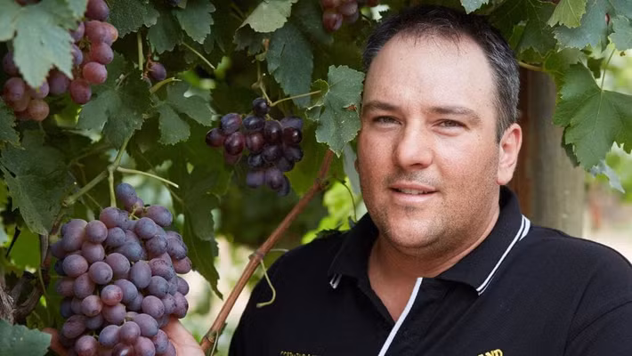 Ước tính, vùng Sunraysia (Australia) có khoảng 600 người trồng nho xuất khẩu. Ảnh: WeeklyTimes.