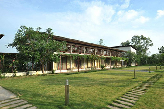 Năm 2001, ông Quân mua lại đất của hộ ông Đỗ Xuân Lâm đã được cấp sổ đỏ diện tích 600 m2 đất ở từ năm 1997, trước khi có quy hoạch rừng năm 1998. Ảnh: Nld.