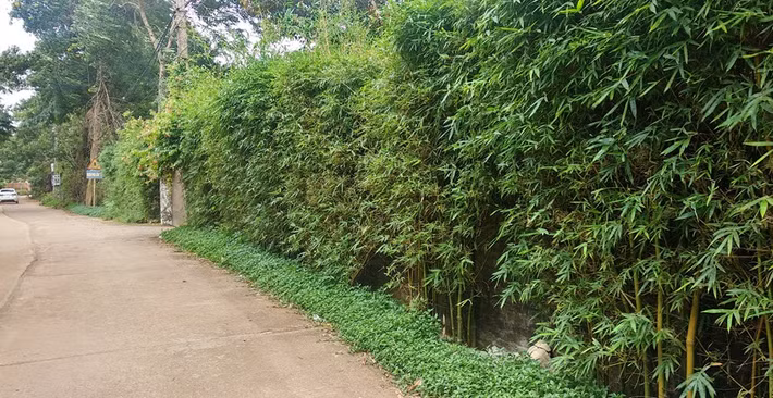 Như vậy, biệt thự gia đình ca sĩ Mỹ Linh không nằm trong diện tổ chức cưỡng chế ngay lần này. Ảnh: Dân Việt.