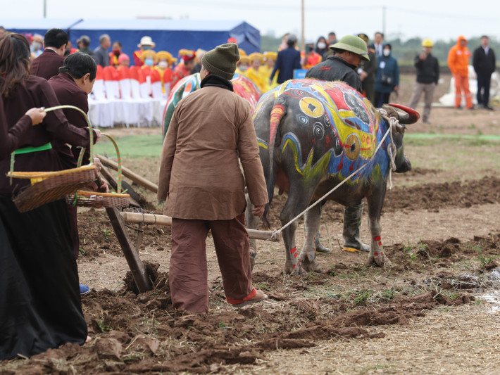Lễ tịch điền được phục dựng theo thứ tự: vua Lê Đại Hành (do vị bô lão của làng Đọi nhập thế, mặc Long bào, đeo mặt nạ) cày 3 sá đầu tiên, đại diện lãnh đạo Đảng, nhà nước cày 3 sá tiếp theo, lãnh đạo tỉnh Hà Nam cày 5 sá, lãnh đạo huyện Duy Tiên cày 7 sá, lãnh đạo xã Đọi Sơn và các bô lão cày 9 sá.
