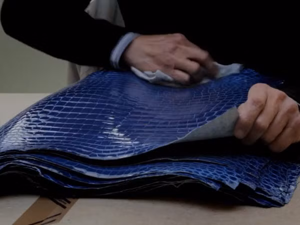 Trên thế giới, những người sở hữu chiếc túi da cá sấu cũng chỉ đếm trên đầu ngón tay. Những chiếc túi này cũng không được đăng tải trên web. Nguồn ảnh: Facebook, Internet