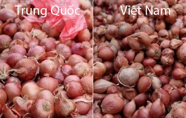 Hành khô Việt thường có vài tép trên một củ, thơm, lớp vỏ dày còn hành khô Trung Quốc củ to, thường chỉ có 1 tép, màu đỏ nhạt, không thơm, vỏ mỏng.