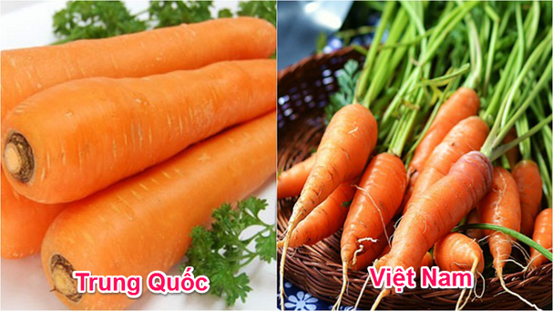 Cà rốt Việt Nam thường nhỏ, có cuống, rễ nhỏ li ti trên thân, củ màu hồng nhạt ngả sang vàng. Cà rốt Trung Quốc bóng loáng, củ đều, to không có cuống hay đầu thường đen do để lâu.