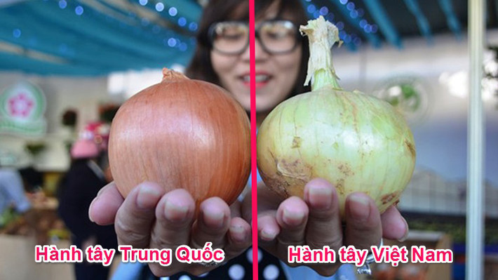 Hành tây Việt thường có màu vàng trắng, phần ruột trắng ngần, thường có lớp vỏ mỏng, không có độ bóng, hơi sần, khô ráp. Còn hành tây Trung Quốc vỏ màu vàng thẫm, sáng bóng, kích thước to và dài. Bên trong có màu trắng hơi ngả sang màu xanh, đẫm nước.