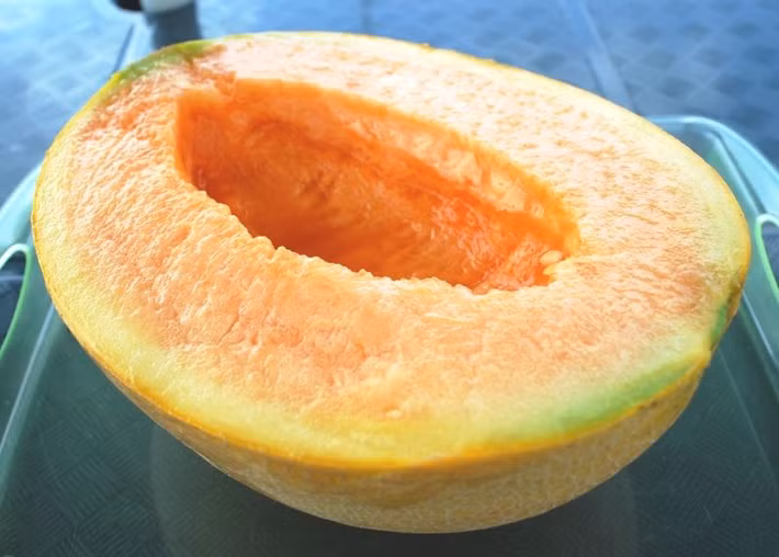 Đặc điểm của dưa lưới Yubari là ruột màu vàng cam, thân tròn đều, vị ngọt tan chảy trong miệng.