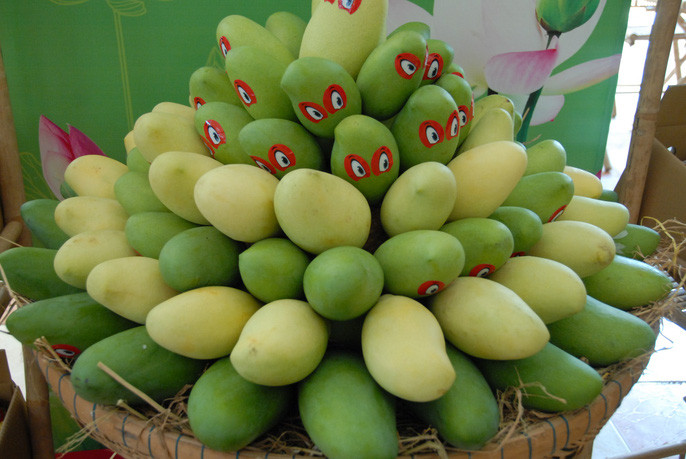 Tất cả sản phẩm xoài đều được lựa chọn kỹ lưỡng và đạt tiêu chuẩn VietGAP. Ảnh: Người lao động.