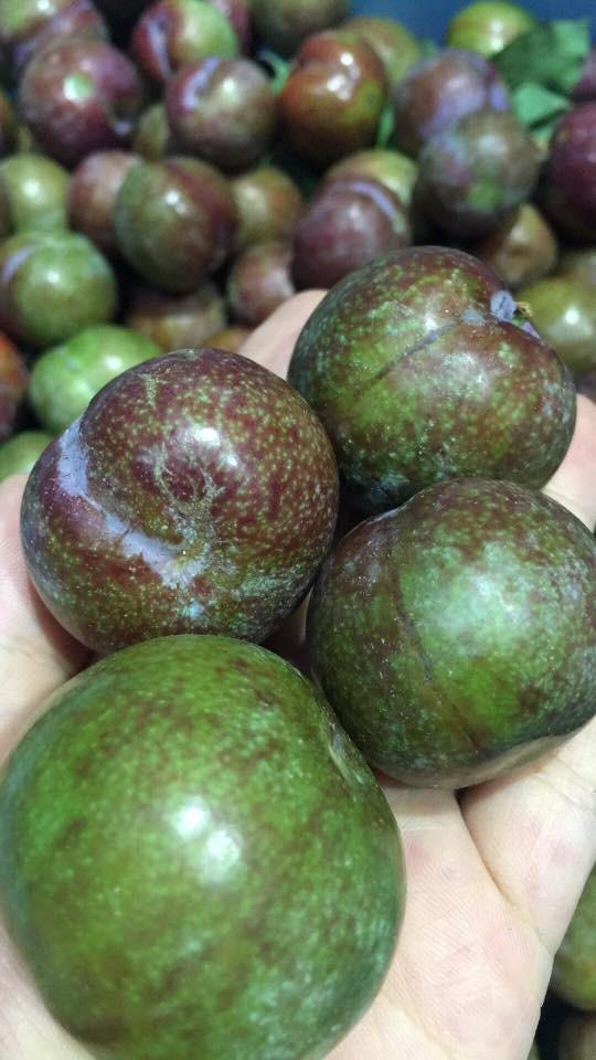 Loại 2, quả xanh hơn một chút thì giá thấp hơn khoảng 120.000 đồng. Ảnh: FB Bich Hao.