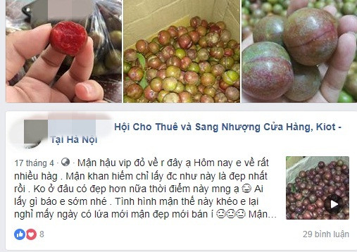 Trên các chợ mạng, việc mua bán mận chín đỏ diễn ra khá rầm rộ. Ảnh chụp màn hình Facebook.