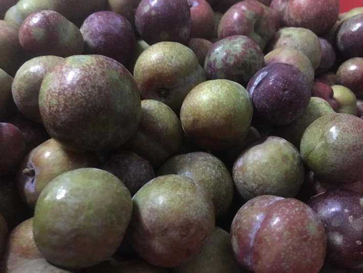 Mận hậu được chia thành 2 loại, loại 1 chín đều, quả to tròn căng thì giá đắt hơn khoảng 150.000 - 250.000 đồng. Ảnh: FB Bich Hao.