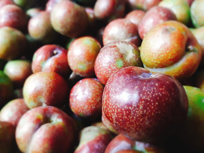 Chị Lan Anh (ở Tương Mai, Hà Nội) chia sẻ: "Đầu mùa, tôi phải mua mận hậu với giá 250.000 đồng/kg, đắt gấp nhiều lần so với chính vụ. Vì quá thèm nên tôi bạo tay mua 2,3 lạng với giá "cắt cổ" như thế". Ảnh: FB Tố Nữ.