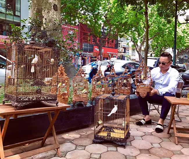 Thậm chí, bộ sưu tập của anh còn có cả những chú chim nước ngoài như Úc, Thái Lan, Singapore, Indonesia. Ảnh: Dân Việt.