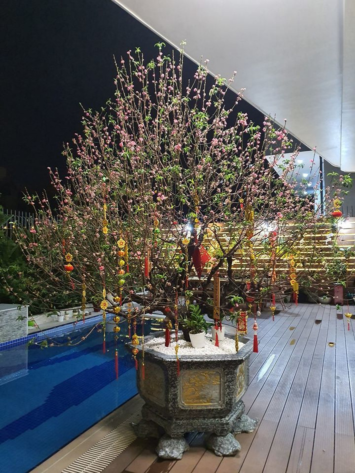 Ngoài hồ bơi riêng, căn biệt thự còn có một khu vườn treo được sắp xếp rất đẹp mắt để thư giãn ngoài trời. Ảnh: Vietnamnet.