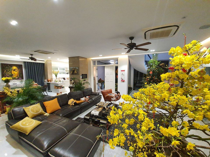 Phòng khách rộng rãi với cây mai vàng nổi bật. Ảnh: Vietnamnet.