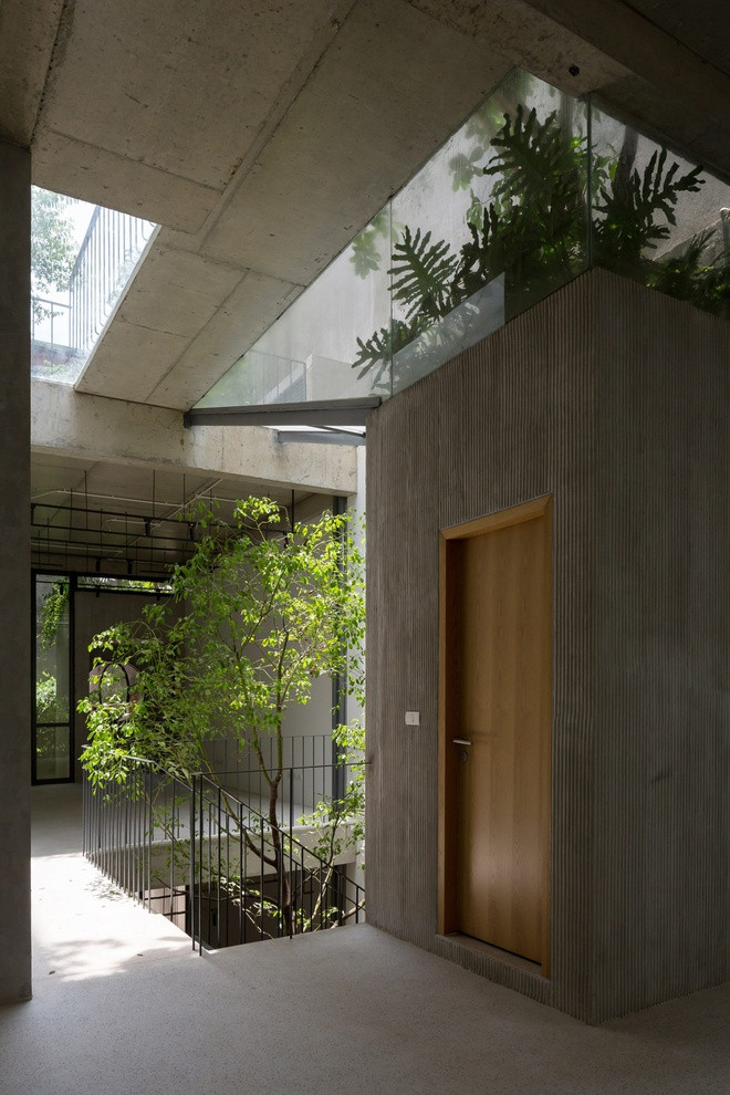 Cây xanh như một yếu tố không thể thiếu trong nhà.