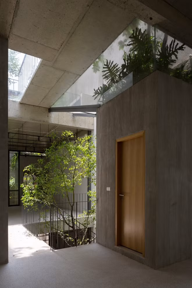 Cây xanh như một yếu tố không thể thiếu trong nhà.