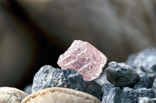 Argyle Pink Jubilee là viên kim cương hồng lớn nhất của Australia, được tìm thấy ở mỏ lộ thiên Argyle. Viên kim cương có trọng lượng 12,76 carat và được định giá ở mức khoảng 10 triệu USD. Ảnh: Vinagems.