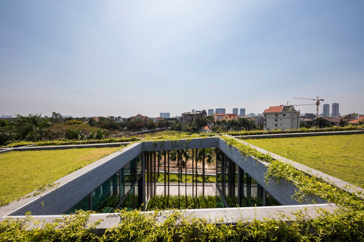 Mái cỏ xanh mướt. Ảnh: Hiroyuki Oki