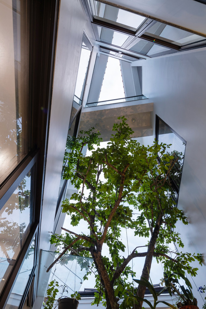 Một lõi xanh được bố trí tại trung tâm nhà phố vừa làm khoảng đệm chuyển tiếp với khu vực kinh doanh ồn ào, vừa là sân trong hướng nội của gia đình. Ảnh: Triệu Chiến