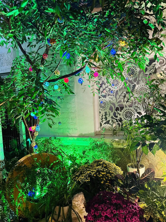 Khu vườn trở nên huyền ảo với những chậu hoa và đèn trang trí đủ sắc màu. Ảnh: FBNV