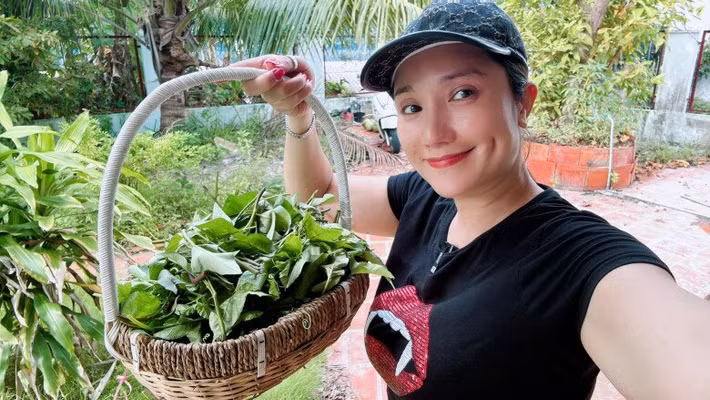 Nhà vườn của MC Cát Tường rộng khoảng 600m2, nằm ở cù lao An Bình (thuộc tỉnh Vĩnh Long). Nơi đây, chỉ để trồng cây, còn bố mẹ nữ MC sống ở khu khác. Ảnh chụp màn hình