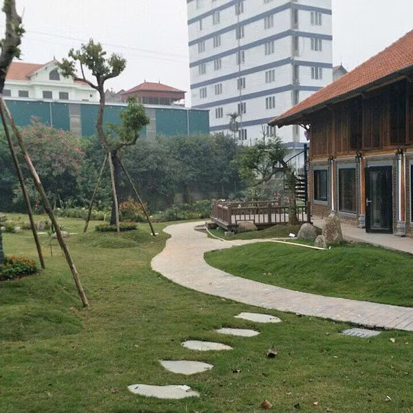 Lối đi trong vườn bằng đá xen giữa thảm cỏ xanh mướt. Ảnh: Vietnamnet