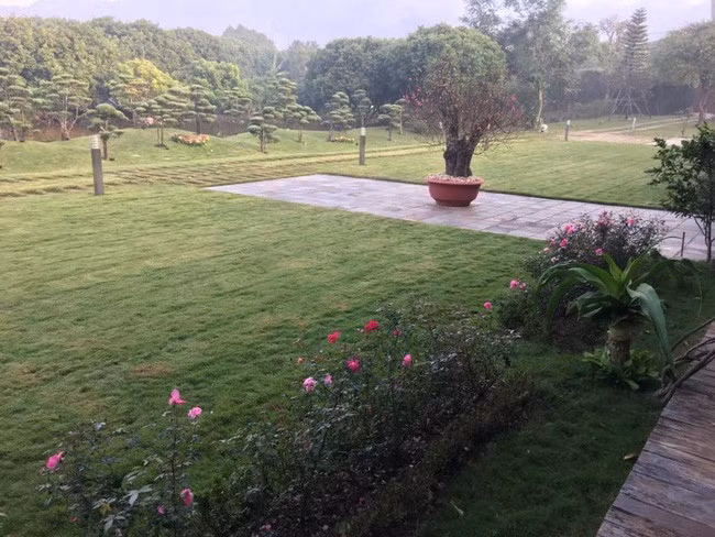 Căn biệt phủ được thiết kế như một quẩn thể kiến trúc theo xu hướng hiện đại, gần gũi với thiên nhiên. Ảnh: Doanh nghiệp &amp; tiếp thị