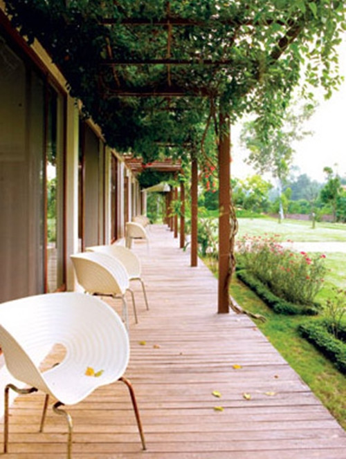 Khu vực thềm nhà nổi bật với hệ thống giàn hoa leo xanh mát. Ảnh: FB Mỹ Linh