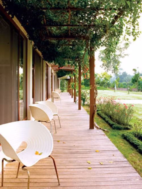 Khu vực thềm nhà nổi bật với hệ thống giàn hoa leo xanh mát. Ảnh: FB Mỹ Linh