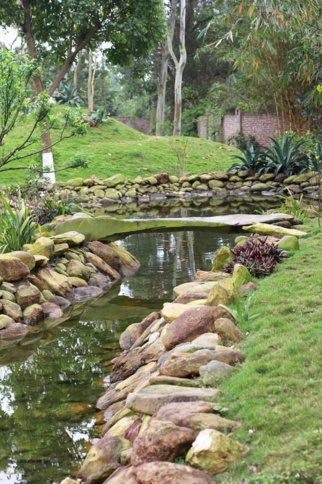Khu tiểu cảnh có cầu bắc qua suối nhân tạo được chăm chút một cách kỹ lưỡng. Ảnh: Internet