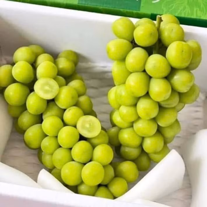 Mỗi chùm nho nặng từ 1-1,5kg, quả to, căng bóng và ngọt thơm. Tuy nhiên, loại nho sữa này chị không bán tách lẻ theo cân mà bán nguyên rành 4,5 đến 10kg. Ảnh: Facebook