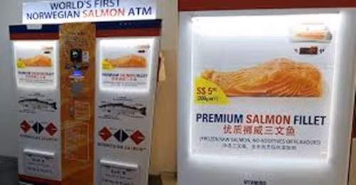 Những chiếc máy ATM cá hồi được vận hành bởi công ty địa phương có tên Norwegian Salmon. Ảnh: ScandAsia.