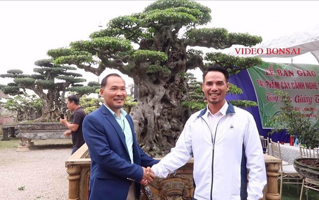 Mới đây, tác phẩm sanh cổ "Tiên lão giáng trần" của ông Dương Văn Mười (Thường Tín, Hà Nội) được chuyển nhượng cho nghệ nhân Nguyễn Văn Chí (Thường Tín) với giá 16 tỷ đồng gây “chấn động” giới chơi cây cảnh. Ảnh: Dân Việt.