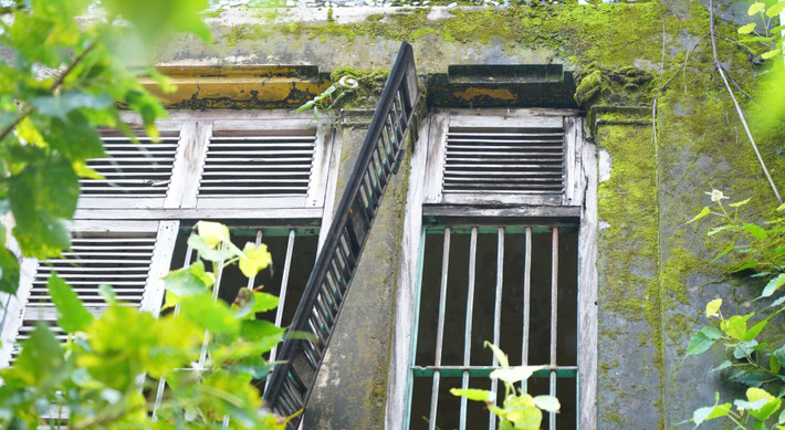 Xung quanh cửa sổ mọc dây leo, rêu phong, ghi đậm dấu ấn của thời gian. Ảnh: Dân Việt