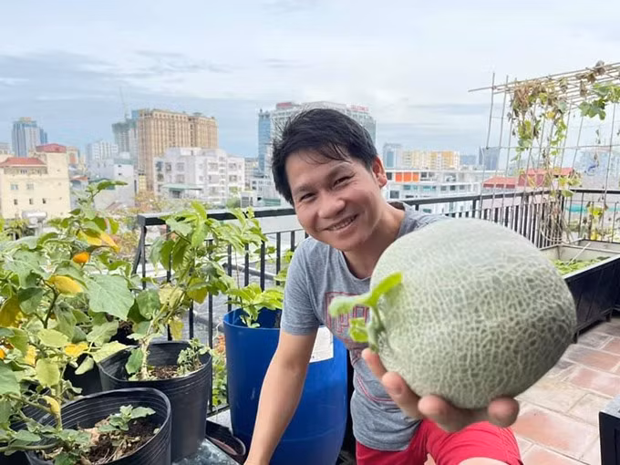 Mới đây, Trọng Tấn khoe những trái dưa lưới đến mùa thu hoạch trên sân thượng.