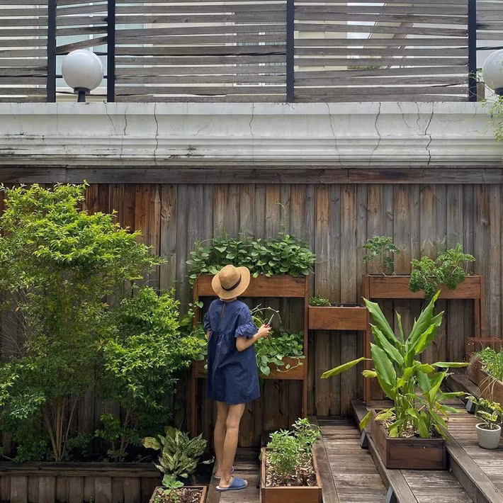 Mới đây, "ngọc nữ" đăng tải khoảnh khắc thu hoạch rau củ trên trang cá nhân.