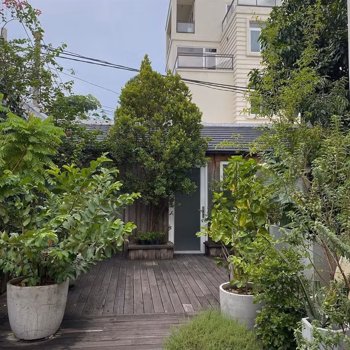 Một góc vườn xanh mướt, nhìn vô cùng thích mắt.