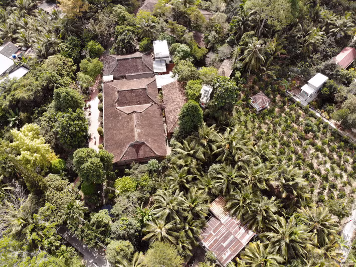 Căn nhà nằm ẩn mình giữa một vườn cây ăn trái xanh mát. Ảnh: Thamhiemmekong.