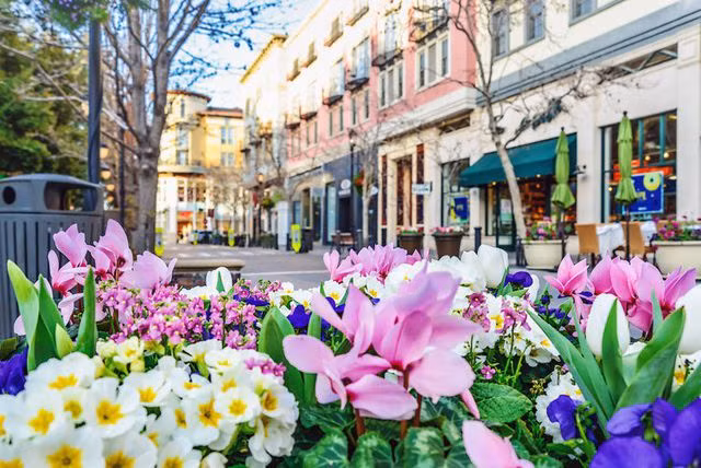 Tiếp theo là thành phố San Jose (Mỹ). Có thời điểm, giá trung bình một căn nhà 4 phòng ngủ, 2 phòng tắm tại đây lên tới hơn 1 triệu USD. Ảnh: CNBC.