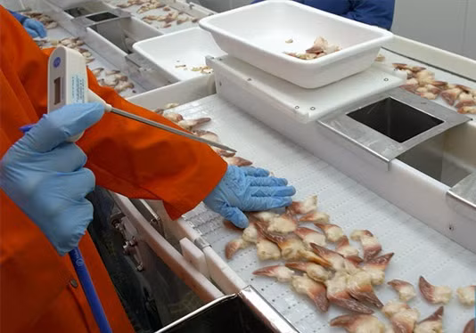 Sau khi tách vỏ, sò đỏ trải qua quá trình sơ chế và cấp đông nhanh để giữ được chất lượng tuyệt đối cùng hương vị vốn có. Ảnh: Haisannhapkhau.