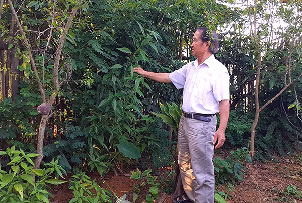 Ông Lùng tận dụng phân chuồng cho vào hệ thống máy sản xuất phân hữu cơ vi sinh sử dụng trong trồng trọt, mang về thu nhập gần hơn 1.2 tỷ/năm. Ảnh: Dân Việt.