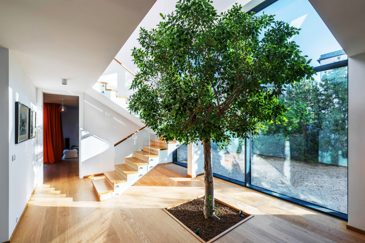 Tường và trần nhà đều được sơn màu trắng.