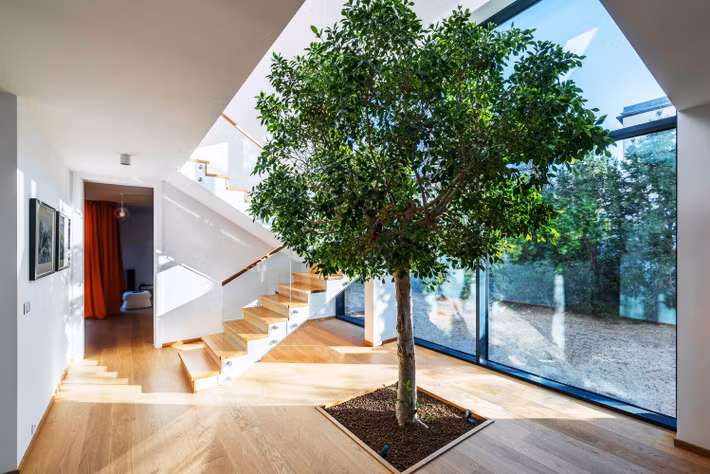 Tường và trần nhà đều được sơn màu trắng.