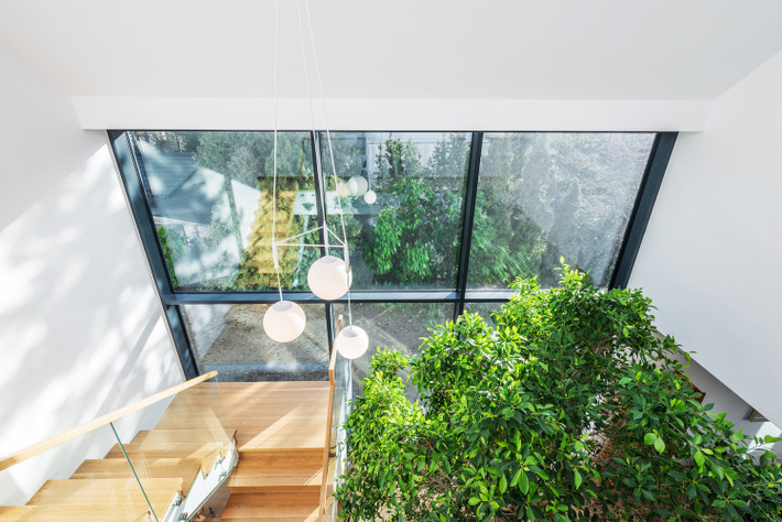 Ngay cả đứng trên tầng cao, các thành viên trong gia đình cũng có thể dễ dàng nhìn ra khu vườn.