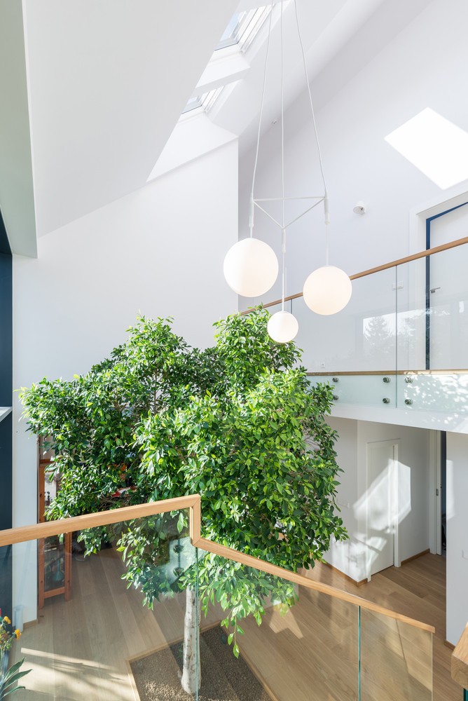 Cửa kính lớn cũng giúp gia chủ có thể nhìn bao quát xung quanh.