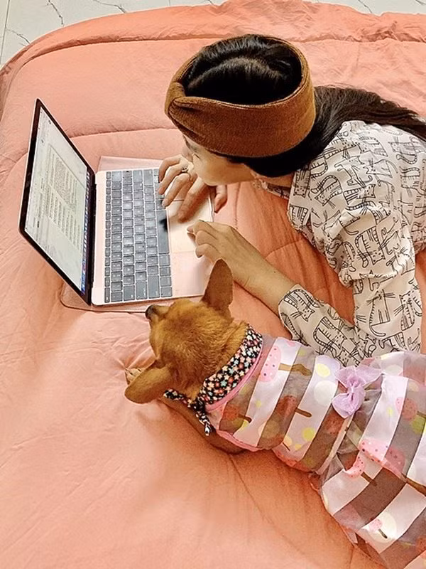 Phòng ngủ dễ thương.