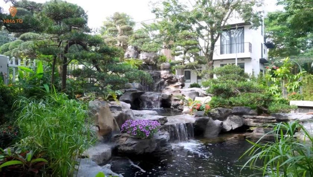 Bao quanh ngôi nhà là sân vườn rộng 300m2, riêng bể cá Koi đã hơn 100m2. Ảnh chụp màn hình
