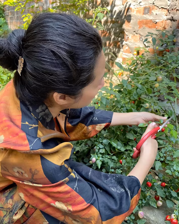 Tại đây, nghệ sĩ Thanh Thanh Hiền trồng rất nhiều cây ăn trái và hoa tươi. Ảnh: FB Thanh Thanh Hiền