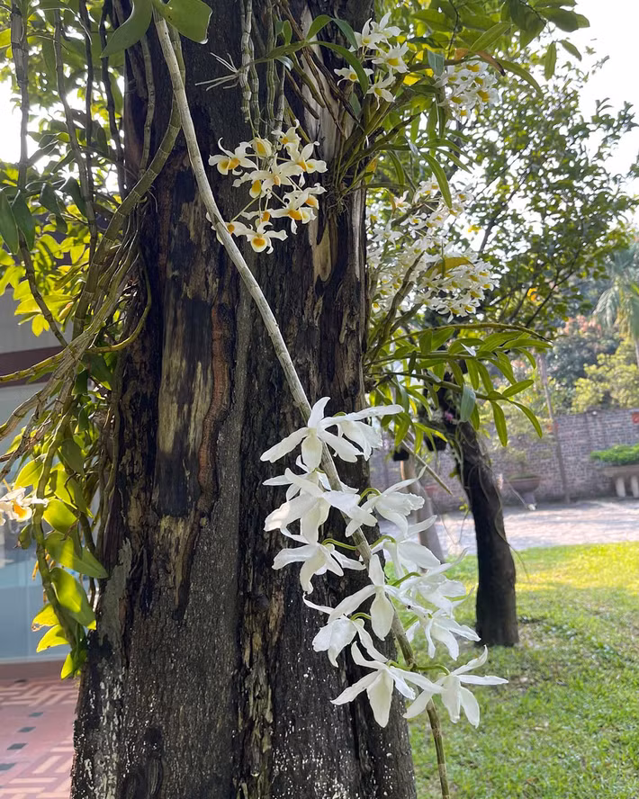 Thanh Thanh Hiền ít bộc lộ cảm xúc nên hay làm thơ để gửi tâm tư vào đó. Ảnh: FB Thanh Thanh Hiền